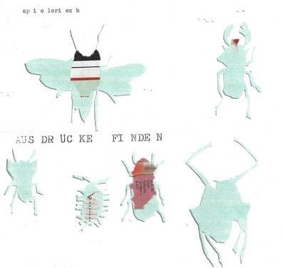Collage mit ausgeschnittenen Insektenformen in Türkis und Rot und den Worten „Ausdrücke finden“.